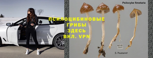 экстази Сатка