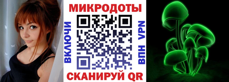 купить   hydra ссылка  Псилоцибиновые грибы ЛСД  Каменногорск 